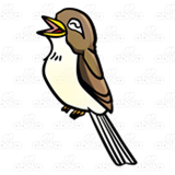 Brown Songbird
