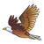 Bald Eagle Color PDF