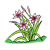 Three Pink Lilies Color PNG