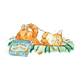 Orange Cat Sleeping lying on pillow beside cracker box