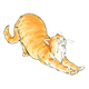 Orange Cat Stretching 