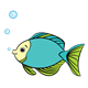 Blue and Green Fish with bubbles