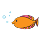 Pink and Orange Fish with bubbles