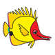 Yellow Fish with red face, without bubbles