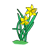 Two Yellow Daffodils 2 Color PNG