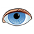 Blue Eye Color PDF