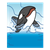 Killer Whale Color PDF