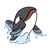 Killer Whale Color PNG