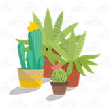 Group of Cacti