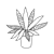 Agave Line PNG