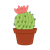 Barrel Cactus Color PNG