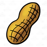 Peanut 4