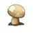 Brown Mushroom Color PDF