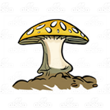 Orange Mushroom