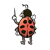 Ladybug Color PNG