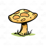 Spotted Mushroom