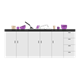 Kitchen Countertop with purple dishes