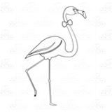 Male Flamingo