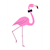Male Flamingo Color PDF