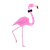 Male Flamingo Color PNG