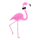 Male Flamingo with a bow tie