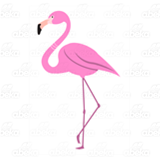 Female Flamingo