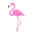 Female Flamingo Color PDF