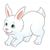 White Rabbit Color PDF