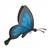Blue Butterfly Color PDF
