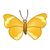 Yellow Butterfly Color PDF