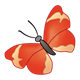 Orange Butterfly with a gray body