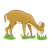 Brown Deer Color PNG