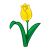 Yellow Tulip Color PNG