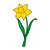 Yellow Daffodil Color PDF