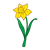 Yellow Daffodil Color PNG