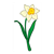 Yellow Daffodil Color PDF