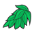 Green Leaves Color PNG
