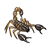 Scorpion Color PDF