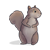 Squirrel Color PNG