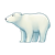 Polar Bear Color PNG