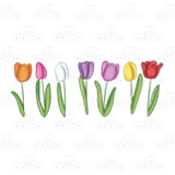 Row of Tulips