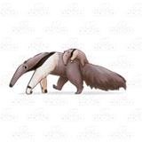 Giant Anteater