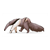 Giant Anteater Color PDF