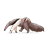 Giant Anteater Color PNG