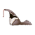 Giant Anteater Color PNG