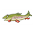 Green Fish Color PDF