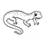Salamander Line PDF