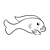 Fish Line PNG