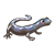 Salamander Color PNG