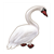 White Swan Color PDF